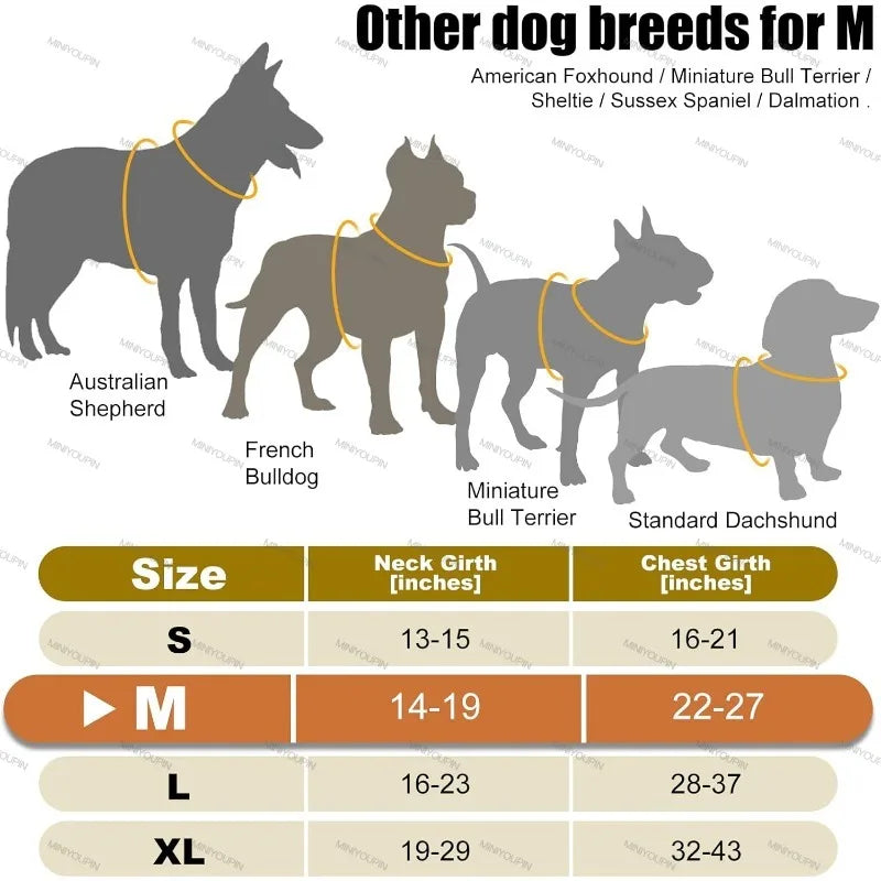 Harnais lumineux LED pour chien