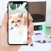 Application mobile Compagnon affichant le flux caméra en direct du distributeur automatique