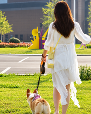 Gourde de voyage pour chien pendant une promenade